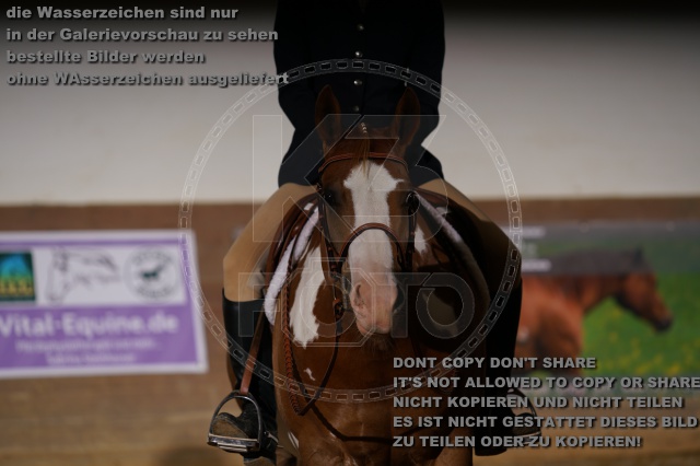s_K3F01570.JPG